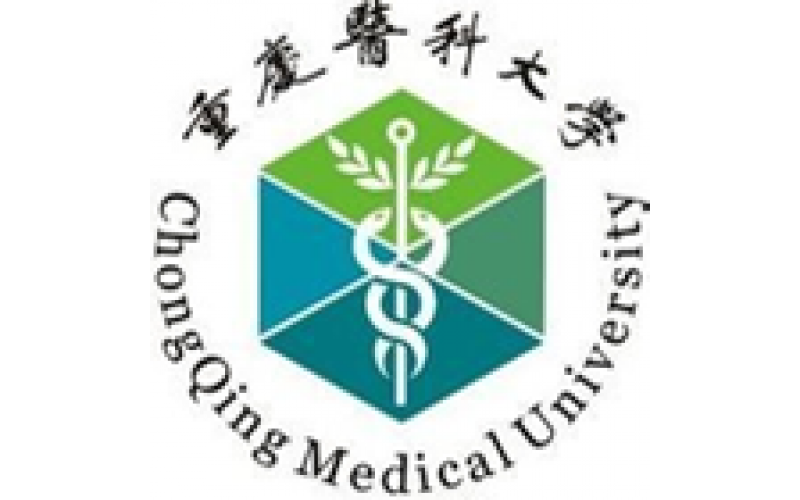 品牌案例展示